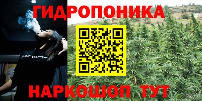 тгк Тара