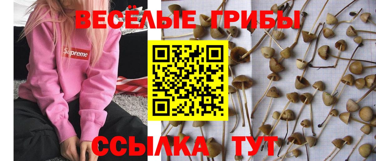 Псилоцибиновые грибы Magic Shrooms Назрань