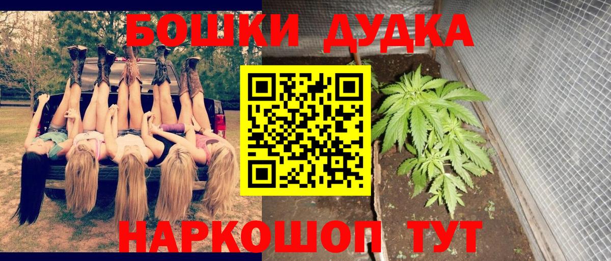 Шишки марихуана MAZAR  Вход с VPN  Назрань  МАРИХУАНА LSD WEED 